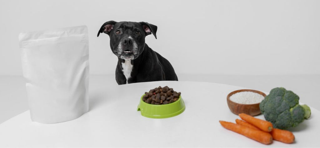 Choosing the Best Ingredients for Your Dog's Food