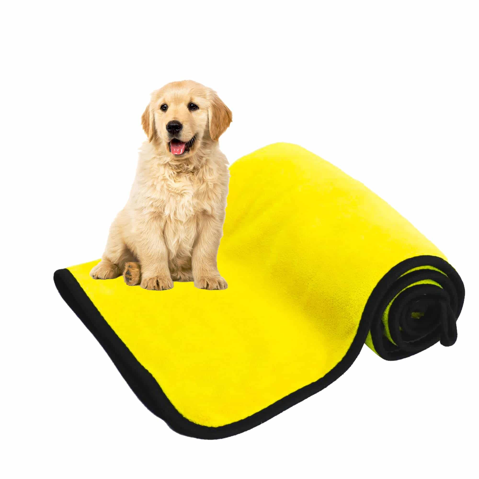 Dog quick-drying towel for dogs