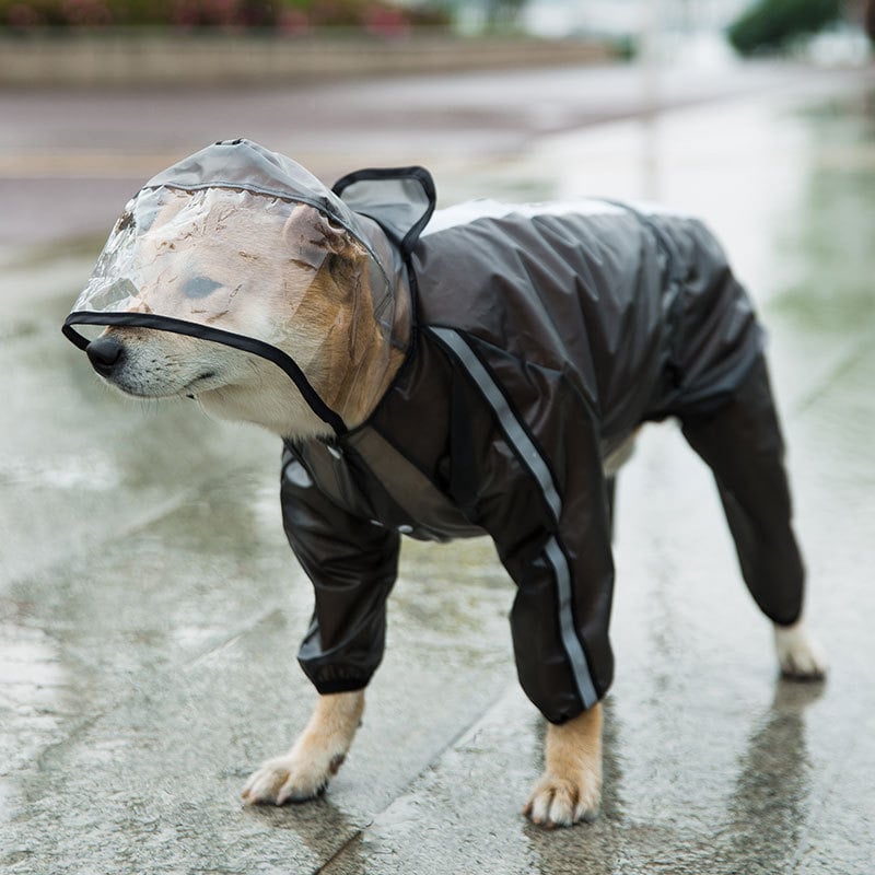 Dog raincoat with hood