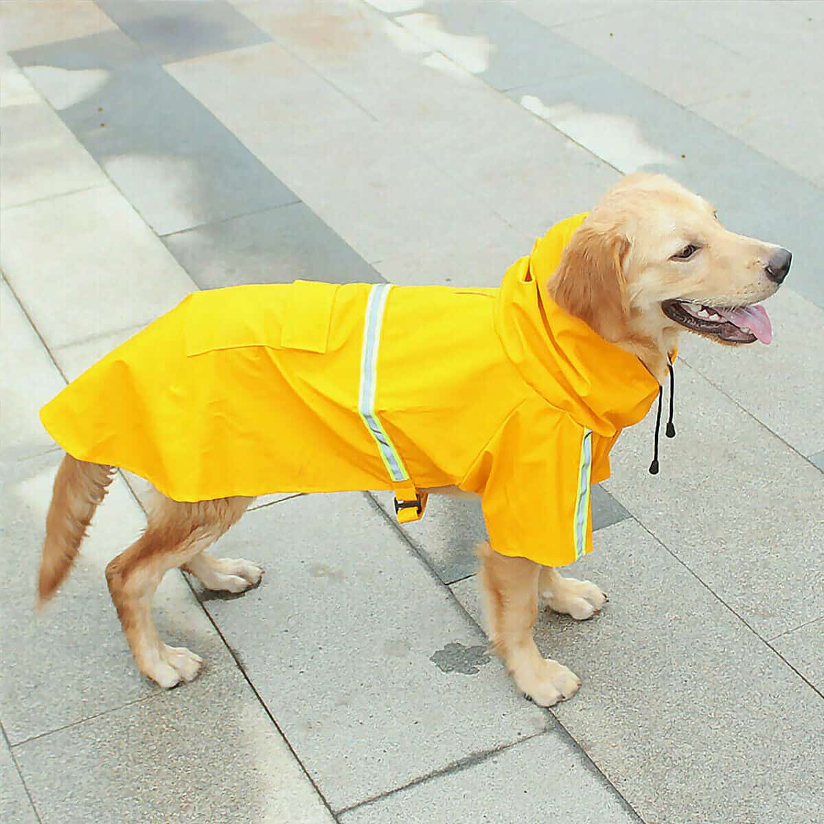 Dog waterproof raincoat with safety reflective strip