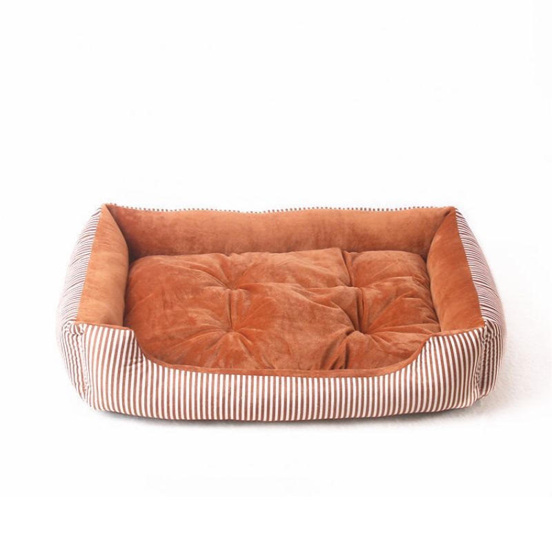 Floor bed for dog