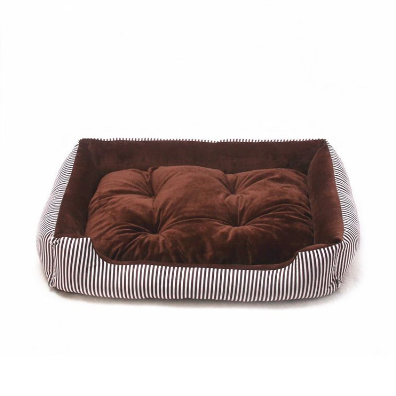 Floor bed for dog