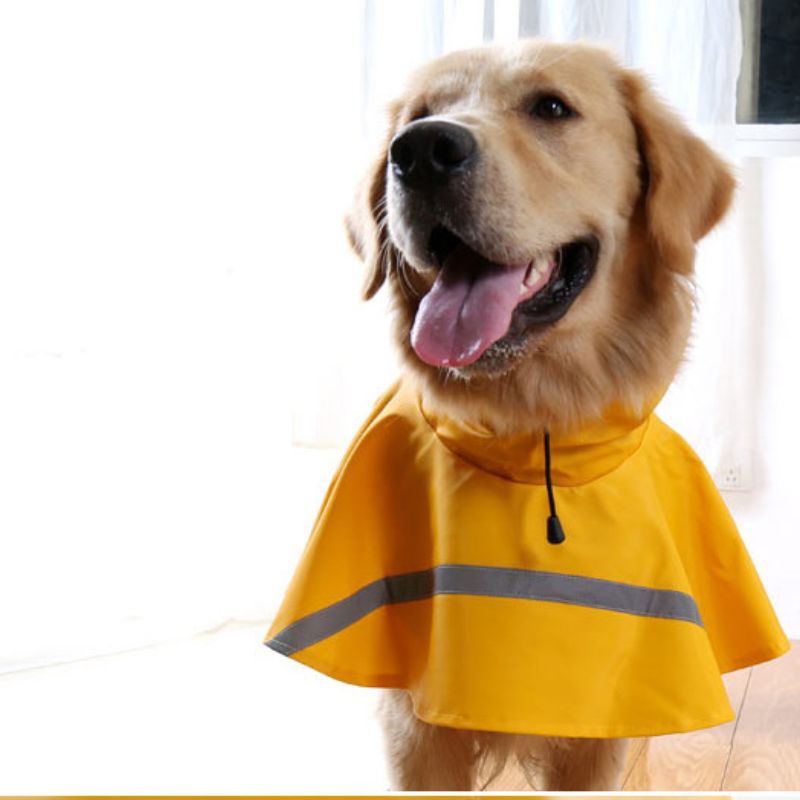 Harvey's Choice Waterproof Dog Raincoat: Protects from rain and snow. Available in vibrant colors: yellow, blue, pink, red, orange, cyan. High-quality waterproof materials, superior protection. Adjustable snaps for a snug fit, hood for added protection. Order now!